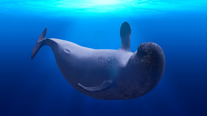 Narwhal, female Monodon monoceros swimming in the ocean © dottedyeti