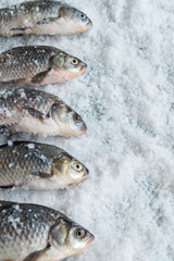 Raw fishes on salty background. Healthy eating ingredient