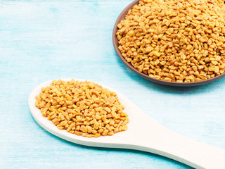 Fenugreek in clay plate and spoon on a blue background. Indian cuisine, ayurveda, naturopathy, modern apothecary concept