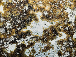 Vintage wall background useful for your design work