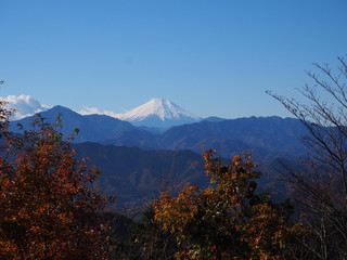 高尾山山頂からの富士山