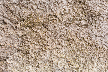 Collezione_Substrati