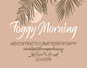 Foggy Morning handwritten font. Script. 