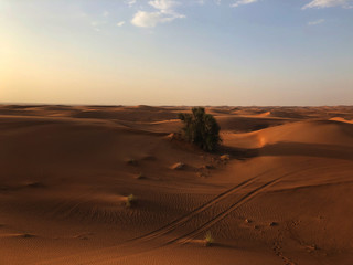 Fototapeta na wymiar Desert sand dune closeup background.