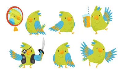 Fototapete Piraten Niedliche lustige Papageien-Cartoon-Charakter-Sammlung, entzückender Vogel in verschiedenen Situationen-Vektor-Illustration