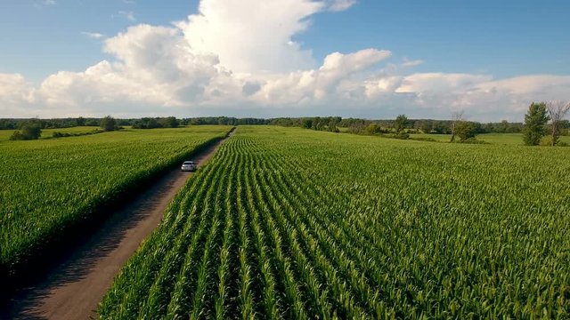 Aerial view of summer crops in Canadian farm land & car on the road