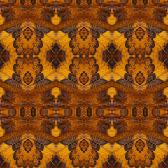 Seamless pattern made from colorful butterfly wing for background texture