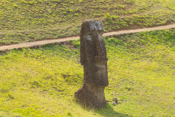 A moai on the outer slopes of Rano Raraku volcano. Rano Raraku is the quarry site where the moais were carved. Easter Island, Chile