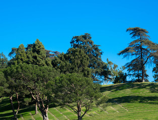 Friedhof in Los Angeles, Forest Lawn Memorial Park