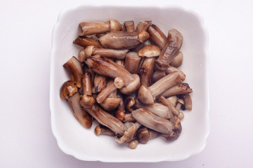 pickled honey agaric. mushrooms honey fungus in a white plate.