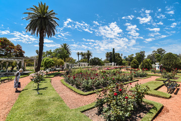 Buenos Aires / Argentina - 11/8/2019: The Rosedal or in English The Roses Garden is most famous park in Palermo, part of Buenos Aires. Rose garden is part of Palermo woods or bosques de Palermo

