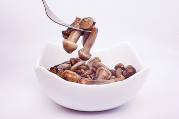 mushrooms honey fungus in plate on white background. edible honey agaric pickled .