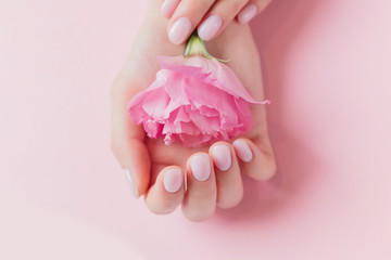 Solid manicure on girl nails with gel polish, hands holding flower on pink background. Concept natural organic skin care