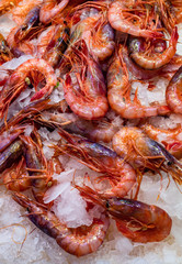 Fresh prawns at a fish market.