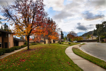 Autumn street in small town