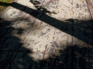 shadows from trees on the path in the Park, Moscow.