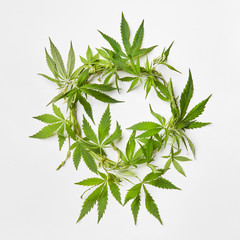 Wreath from green cannabis leaves.