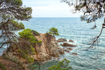 Fototapeta na wymiar Seascape. A protruding rock in the sea with a green tree. Panorama of rocks on the coast of Lloret de Mar on a beautiful summer day, Costa Brava, Catalonia, Spain