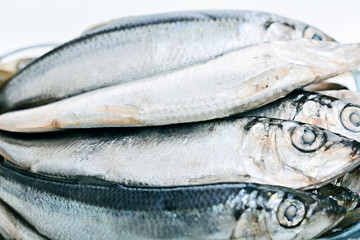 Baltic herring