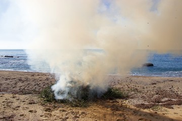 Smoke and ashes coming out from a fire burning stack of pruned branches and leaves of olive trees at a sandy beach at winter