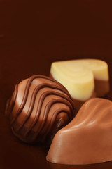 chocolate praline closed up beautiful low key background vertical with place to text
