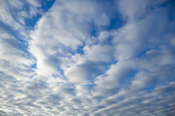 blue sky with white clouds