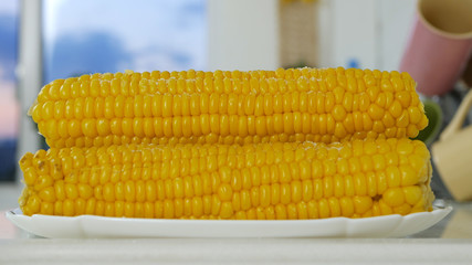 Sweet Hot and Fresh Boiled Corn Cob on a Plate in the Kitchen