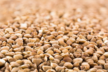 Buckwheats texture