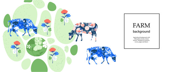 Horizontal banner. Agricultural background. Cows in the pasture. Silhouettes of cows and flowers.