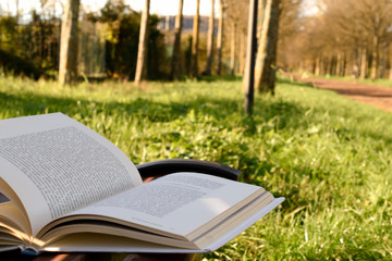 Open book lying on bench in green park