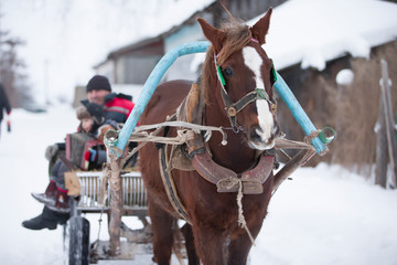 Obraz premium Russian horse in a cart carries village people
