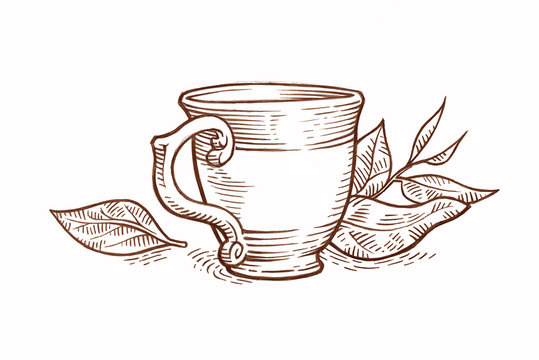 How to Draw a Tea Cup  Really Easy Drawing Tutorial