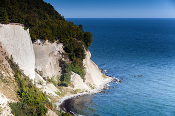 Chalk cliffs, Baltic Sea coast, beech grove, UNESCO World Heritage Site, Jasmund National Park, Isle of Ruegen, Mecklenburg-Western Pomerania, Germany, Europe
