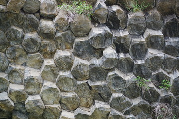 Unique texture of hexagonal stone rocks with bunches of greenery close-up