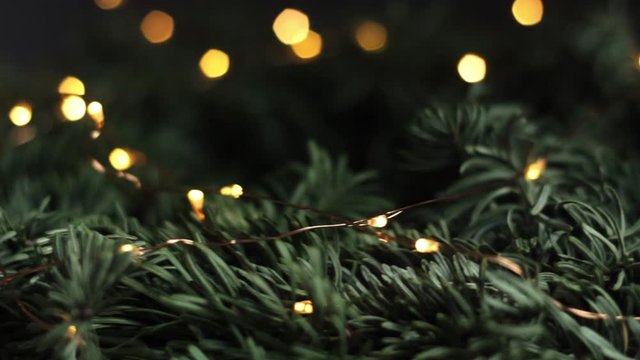 Christmas decor pine leaves with fairy lights wrapped, closeup 