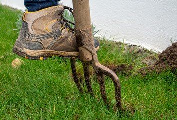close up of woman gardening with spade