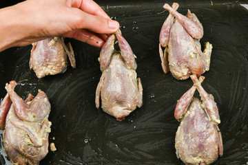 quail in hands. quail in human hands. cooking quail. lies on the brow, in front of the oven