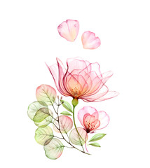 Transparent rose floral arrangement of flowers, flying petals and eucalyptus branch. Watercolor hand drawn illustration isolated on white for wedding stationery, card print