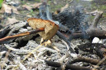 Fishing spinning on the lake, lunch break