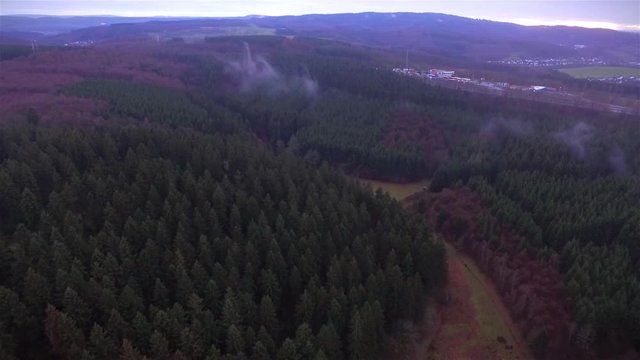 Fast drone fly over spruce forest into a fogy bank in the Siegerland area