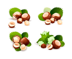 Hazel nut compositions set, food vector isolated