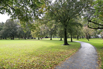path in the park