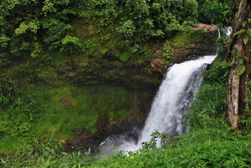 Beautiful waterfall in the green deep forest