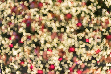 Colorful christmas tree bokeh background.