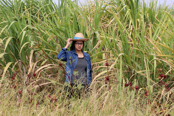 Woman agriculturist standing with the hand on hat and wearing Long-sleeve denim shirt in the sugarcane farm.