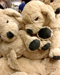 Pile of brown dog dolls