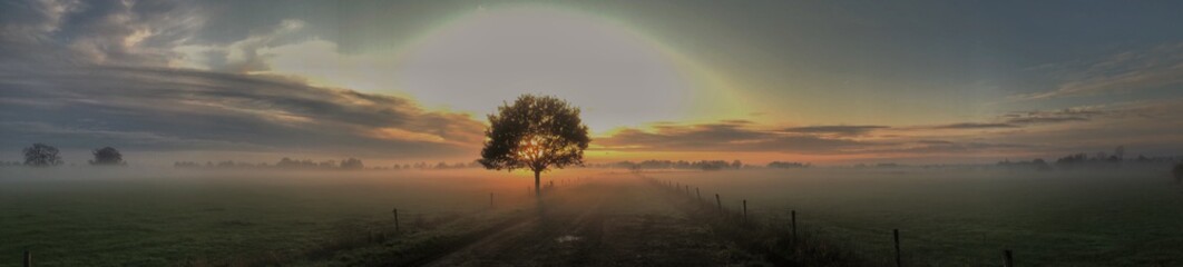 Fototapeta na wymiar Sunset. Fog. Misty. Steenwijk Netherlands Panorama Panorama