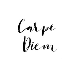 Carpe diem card. Hand drawn lettering. Modern vector brush calligraphy. Ink illustration with hand-drawn lettering. 