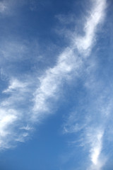 Fototapeta premium Cirrus white clouds.