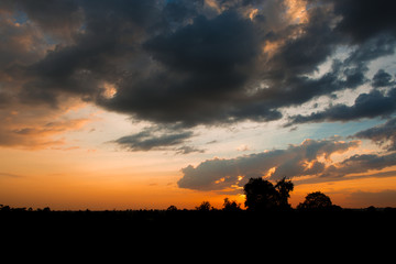 sunsey with beautiful colors and silhoueets in the foreground 